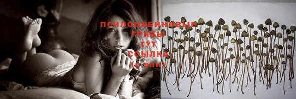 mix Гусев