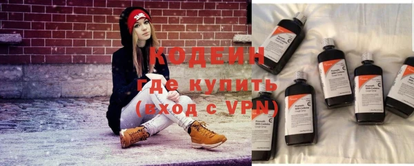 прущие грибы Сосновка