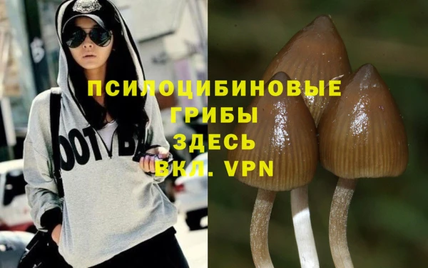 прущие грибы Сосновка