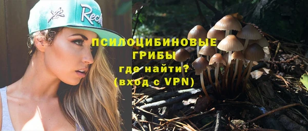 mix Гусь-Хрустальный